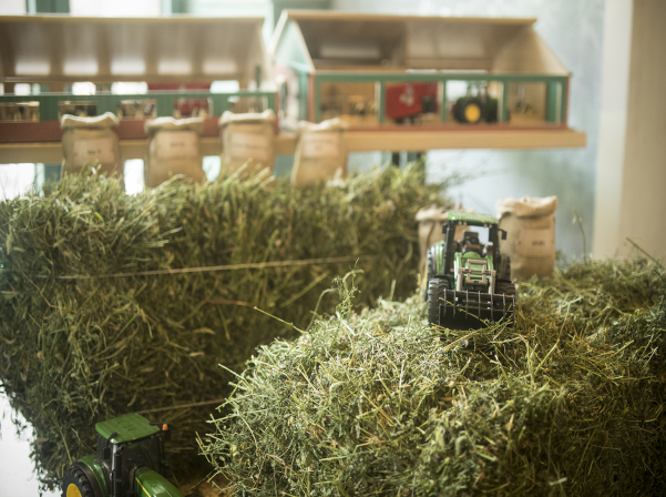 Yeremyan Projects-ը ներկայացրել է իր արտադրած բարձրորակ կաթնամթերքը