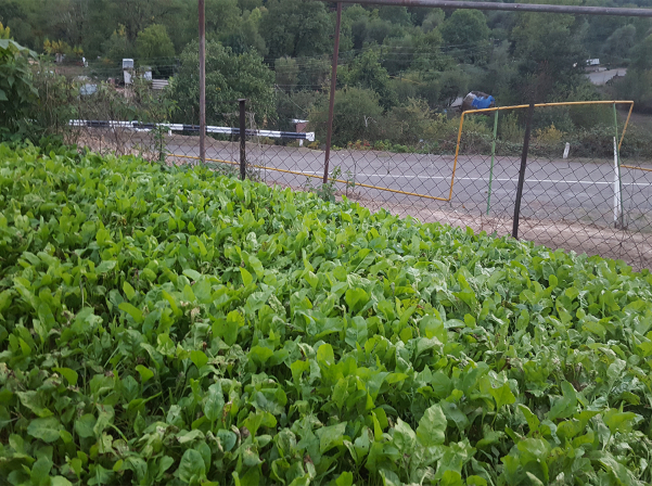  Վահրամն ու Սուսաննան՝ Գանձասարի ամենահայտնի ժենգյալով հաց թխողները