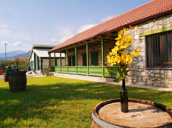 Տավուշի գինիներն ու Շամշադինի համերը՝ Այգեպանի տնակում