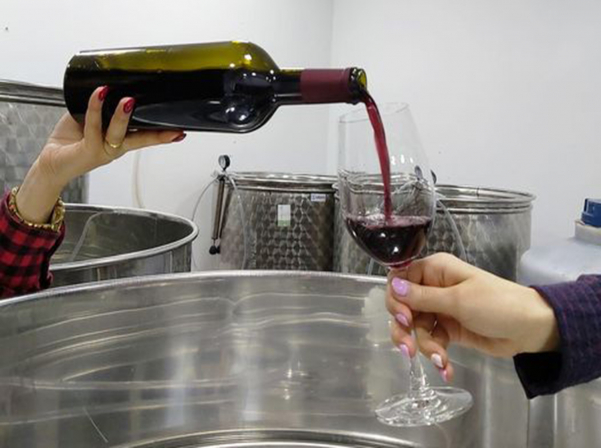 Տավուշի գինիներն ու Շամշադինի համերը՝ Այգեպանի տնակում