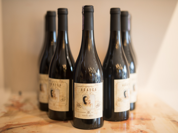 Մի կում Կոլումբիա եւ սրճային ճամփորդություններ՝ Haldi.Co-ում