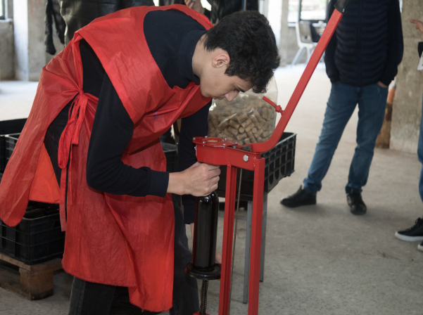 Խաղողի վազից մինչեւ շշալցում. մեկ օր գինեգործ երեխաների հետ