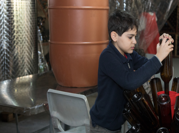 Խաղողի վազից մինչեւ շշալցում. մեկ օր գինեգործ երեխաների հետ