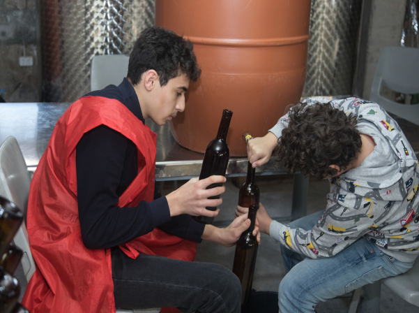 Խաղողի վազից մինչեւ շշալցում. մեկ օր գինեգործ երեխաների հետ