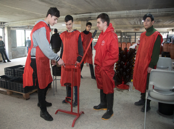 Խաղողի վազից մինչեւ շշալցում. մեկ օր գինեգործ երեխաների հետ