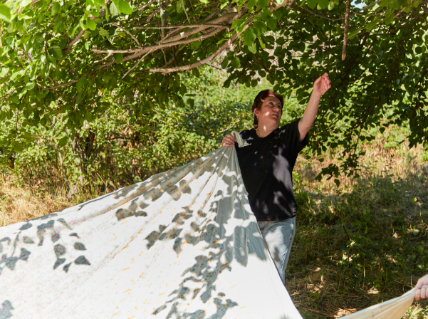 “Lavash” authors' new book magazine celebrates Artsakh before the war