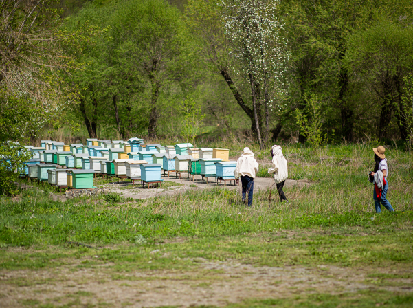 Լոռու խառնված համեր եւ ալկոհոլային թունդ խմիչք՝ «Անգար»-ում
