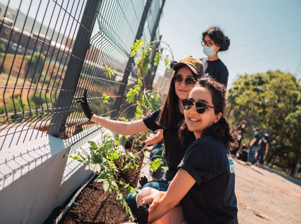 Երեւանի կոնյակի գործարանը «Կենդանի կանաչ պատ» է հիմնել