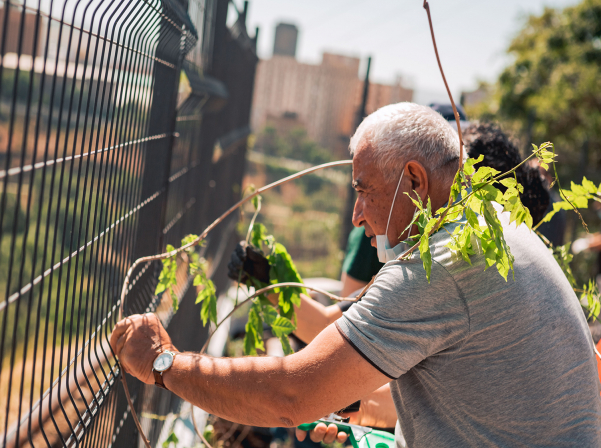 Երեւանի կոնյակի գործարանը «Կենդանի կանաչ պատ» է հիմնել