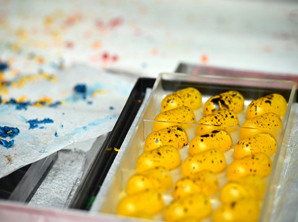 Անահիտ Միքայելյան. SEASONS SWEETLAND-ը «Երեմյան Փրոջեքթս»-ի «քաղցր երազանքն» է