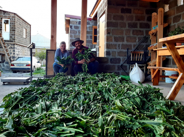 Վարդենիկ գյուղում կանցկացվի Ավելուկի փառատոնը 