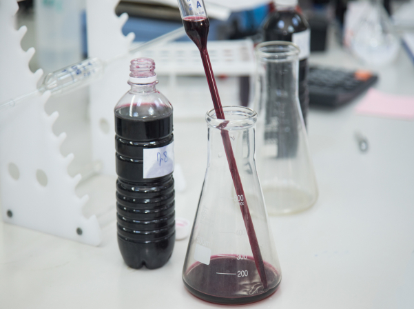 EVN Գինու ակադեմիայի «խմորումները», կրթական ծրագրերն ու գինիները