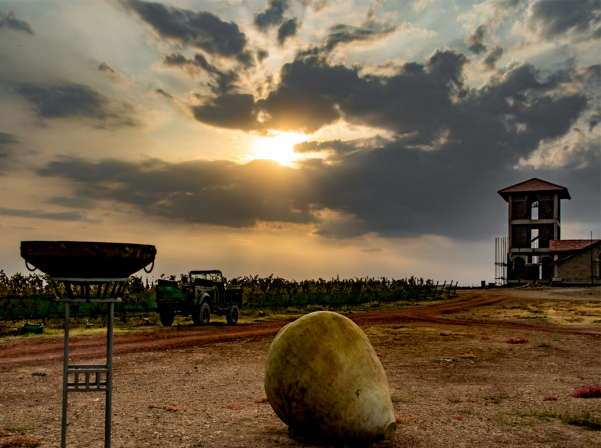 Խաղողի մթերման համար տրվող վարկերի ժամկետը կերկարաձգվի մինչեւ 3 տարի