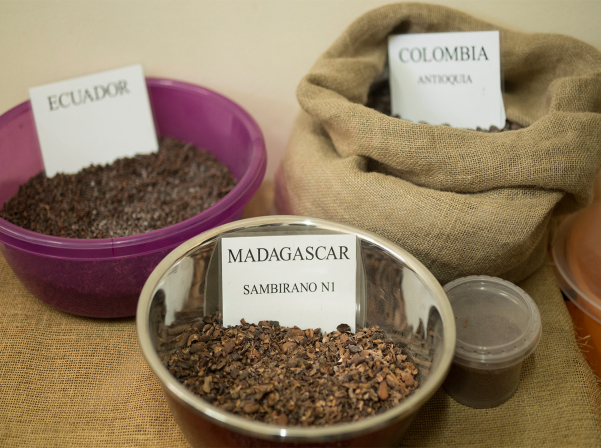 TadDin. Հայաստանում արտադրվող միակ արհեստագործական շոկոլադը