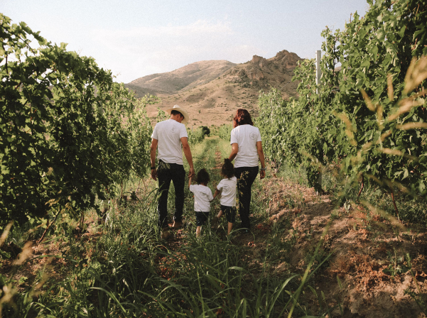 Krya Wines. Հայ-գերմանական ընտանիքի «դանդաղ» գինին 