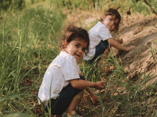 Krya Wines. Հայ-գերմանական ընտանիքի «դանդաղ» գինին 