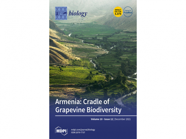 Germans call Armenia a rich “reservoir” of grapevine genotypes 