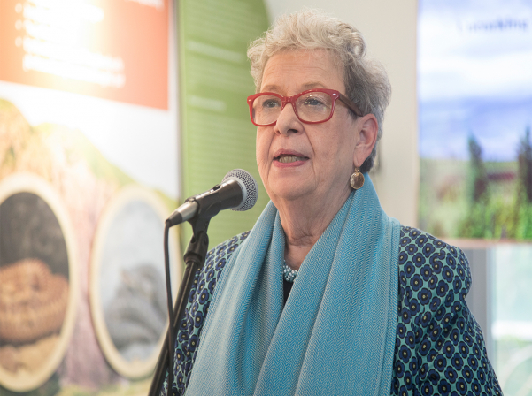 Armenian wine, cuisine and traditions heralded in a new magazine “Origins”