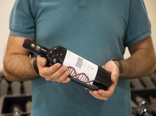 Թեւան Պողոսյանի գինիները՝ 100 հատ «Ադրինե»-ից մինչեւ 5 000 «Մունք» 