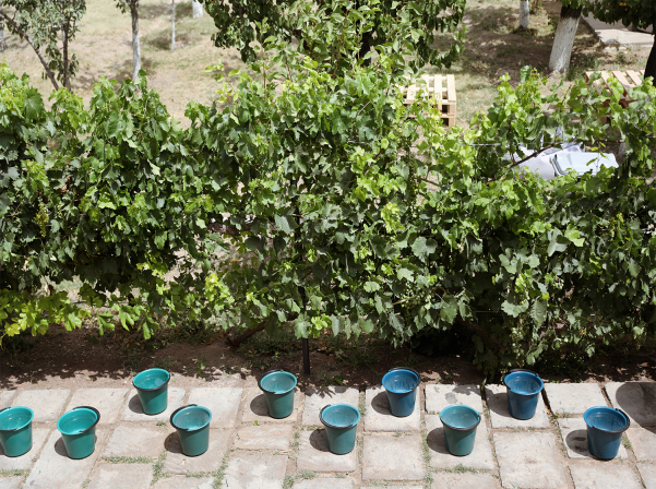 STORK Nest Winery-ն նշեց իր 1-ամյակը Վարդավառով 