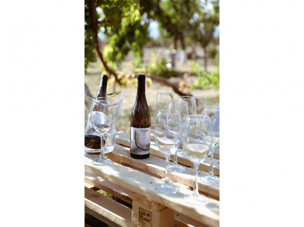 STORK Nest Winery-ն նշեց իր 1-ամյակը Վարդավառով 