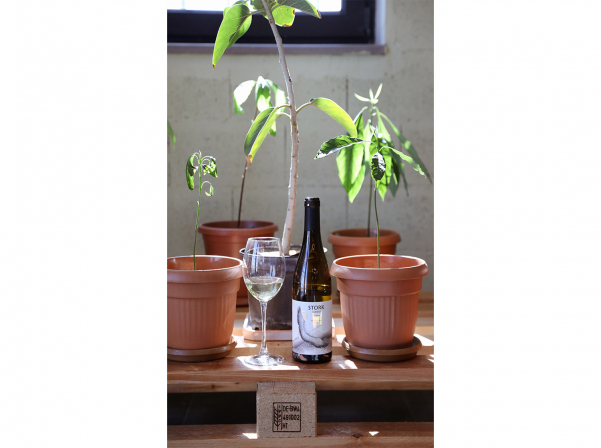 STORK Nest Winery-ն նշեց իր 1-ամյակը Վարդավառով 