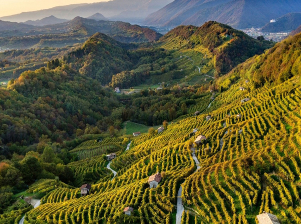 Պրոսեկո. Ինչպես համեղ դիմակայել շոգ ամռանը