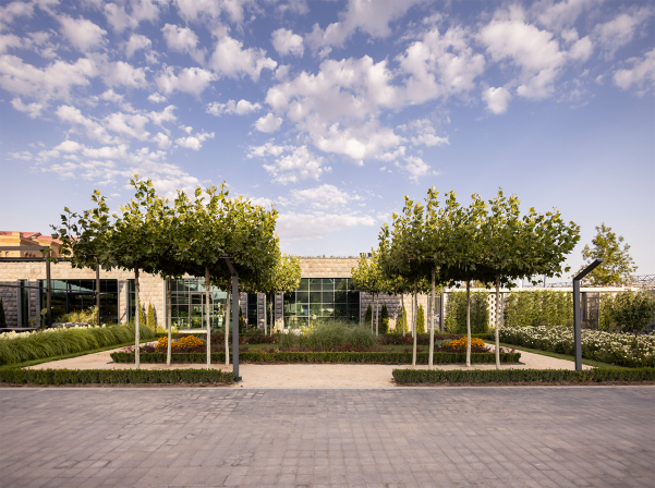 Բնություն եւ խոհանոց. Օ₂ Cafe & Bar-ն իր դռները կբացի օգոստոսի 24-ին