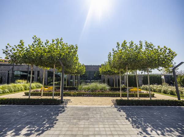 Բնություն եւ խոհանոց. Օ₂ Cafe & Bar-ն իր դռները կբացի օգոստոսի 24-ին