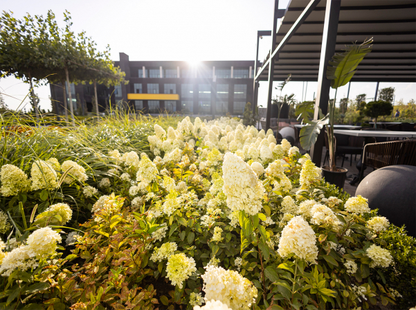 Բնություն եւ խոհանոց. Օ₂ Cafe & Bar-ն իր դռները կբացի օգոստոսի 24-ին