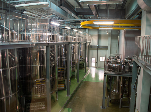 Famous soju from K-dramas and Korean drinking culture