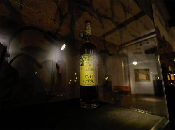 Temporary Exhibition at ARARAT Museum