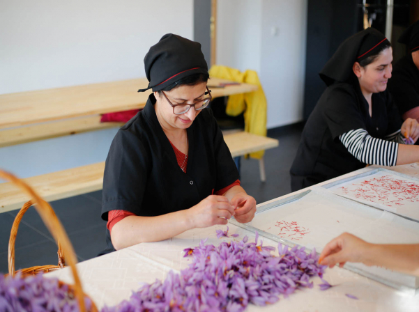 «Սարի Շաֆրան»՝ Տավուշում աճող «կարմիր ոսկին» 