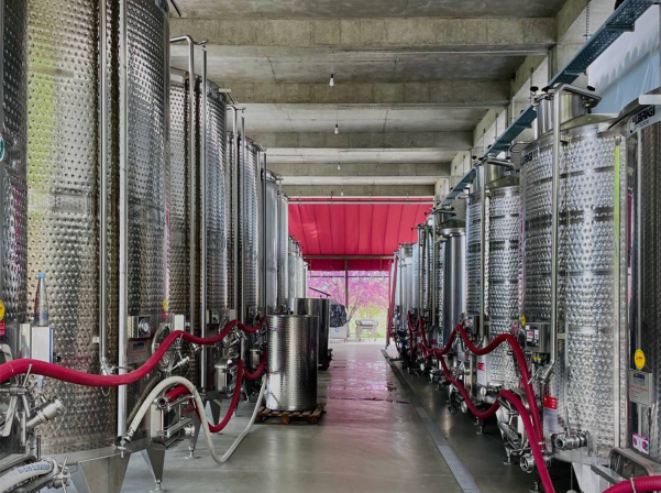 Tsinandali Estate. Խաղողի վազերը, գինու ծնունդն եւ դրա վայելքը՝ մեկ վայրում