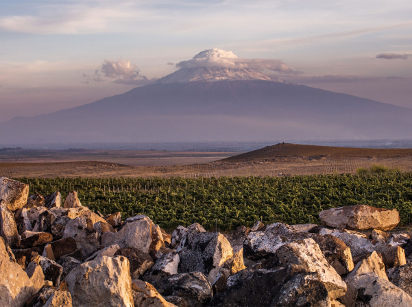 Karas Wines-ն ու Մեդիամաքսն ամփոփել են մրցութային թեստ-խաղի արդյունքները 