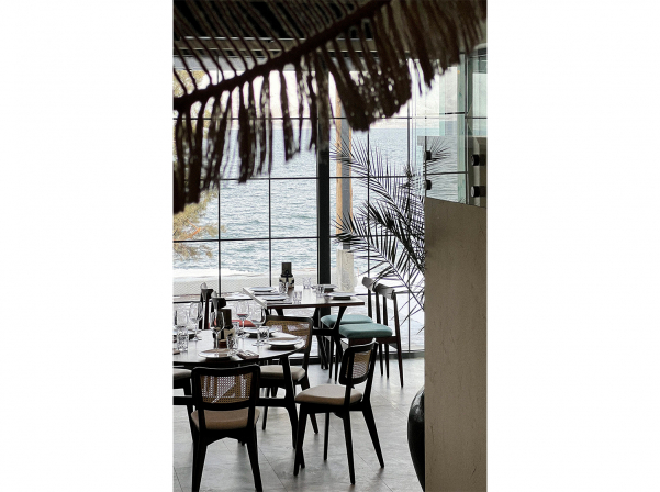 Syrovarnya-ի զարգացումը, Նովիկովի այցն ու նոր նախագծերը