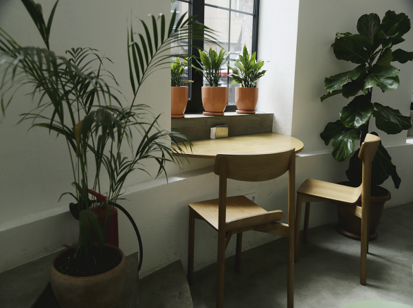 «Ջերմոց»՝ որակյալ սուրճ եւ super friendly միջավայր