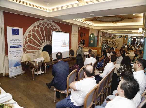 Բլանշ գառան մսի առանձնահատկություններն ու հատուկ համտեսը