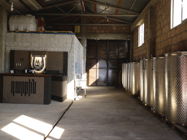 «Դարբին»՝ Սարգսի ու Տաթեւի ամուսնությունից ծնված գինին