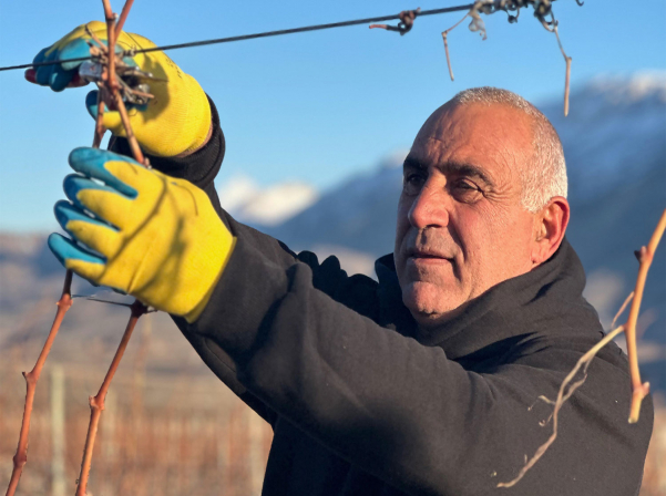 NOA-ի Ռինդի այգիներում կանցկացվի «Էտի փառատոն» 