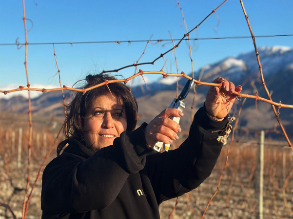 NOA-ի Ռինդի այգիներում կանցկացվի «Էտի փառատոն» 