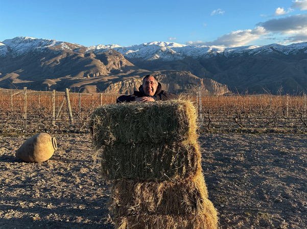 NOA-ի Ռինդի այգիներում կանցկացվի «Էտի փառատոն» 