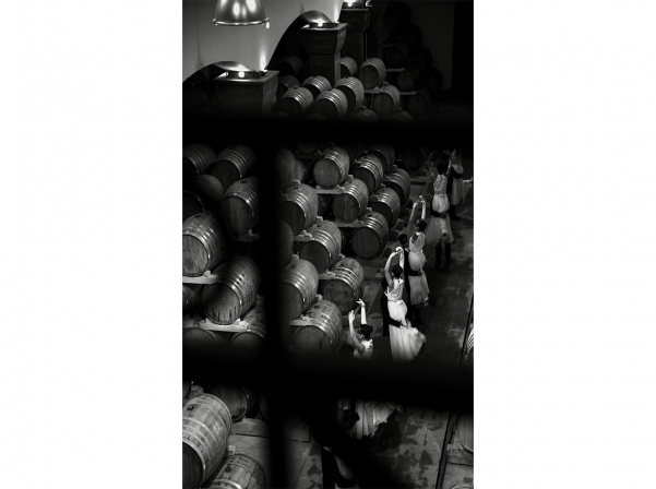 "Masquerade" - a new exhibition of Aram Khachatryan in the Armenia Wine winery