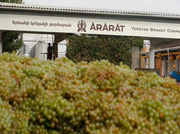 ԵԿԳ-ն մեկնարկել է խաղողի գնման պայմանագրերի ստորագրման գործընթացը 