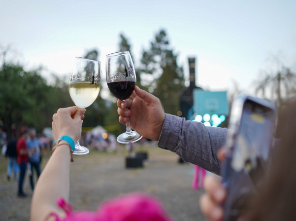 Wine-filled days of DILIJAN WINE FEST 2024 will take place on August 3 and 4