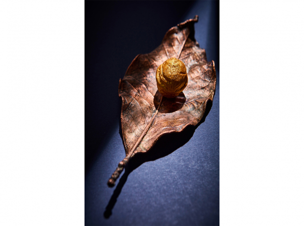 Հեղինակային խոհանոցով &laquo;Ռենոմե&raquo; ռեստորանը երեք տարեկան է