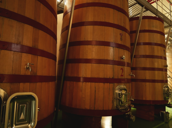 «Մառաններում գոռալ չի կարելի»․Արուսյակ Թադեւոսյանն ու գինի ստեղծելու արվեստը