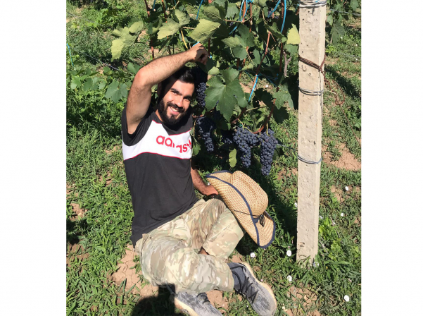 Harosa. Պատմություն ունեցող եւ Հադրութի մասին պատմող գինին