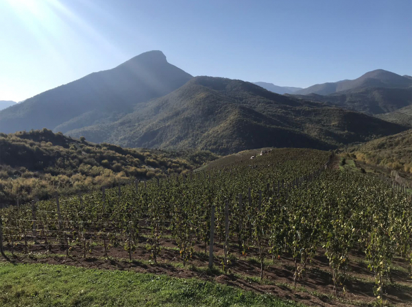 Harosa. Պատմություն ունեցող եւ Հադրութի մասին պատմող գինին