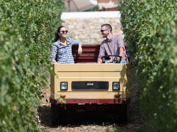 Fantini ընտանիքի պատմությունն ու գինիները՝ Vino&Vino-ում